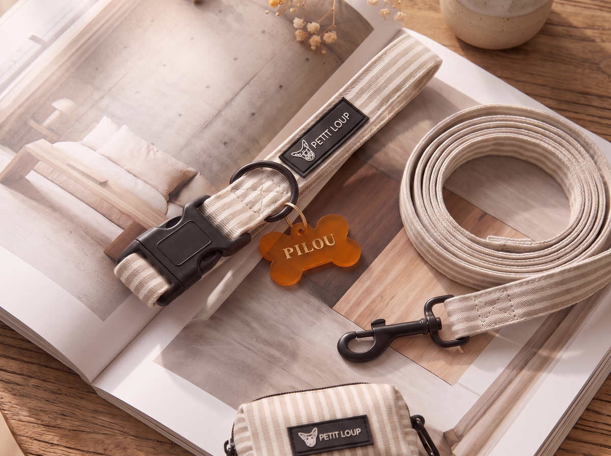 Best Dog Accessories Gifts for 2026