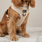 Dog harness — Cream Dream (Corduroy)
