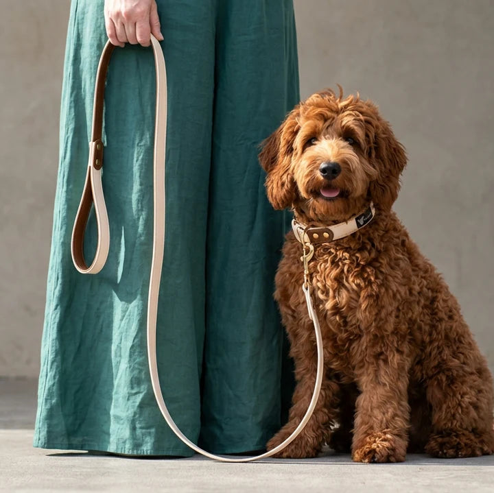 Dog leash - St.Tropez