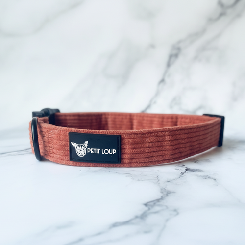 Dog collar — Orange Crush