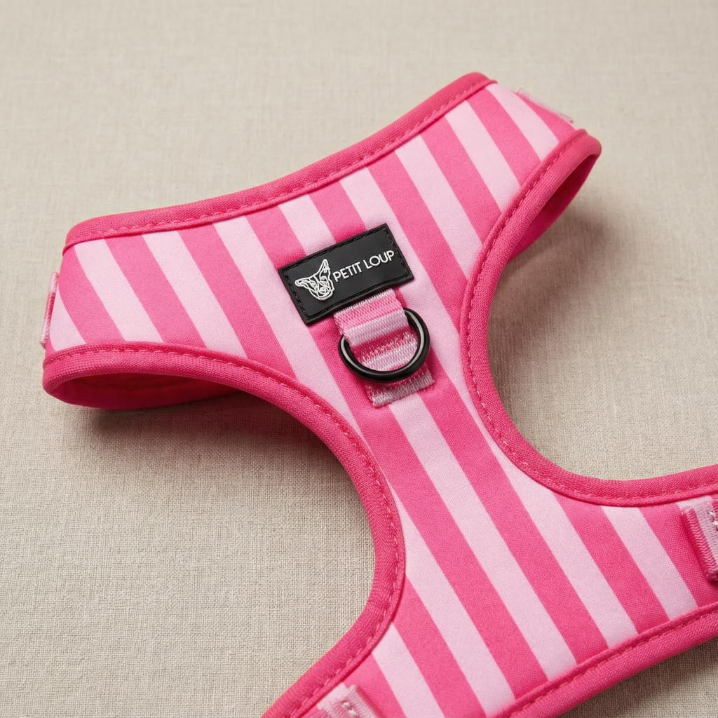 Dog harness — Girl Boss (Water-resistant Neoprene)