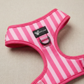 Dog harness — Girl Boss (Water-resistant Neoprene)
