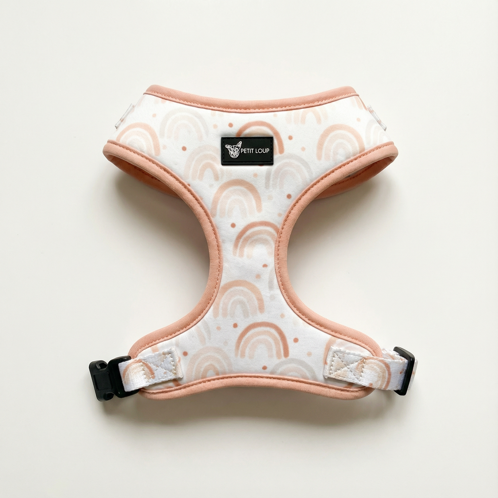 Dog harness — Rainbow Rush (Neoprene)