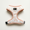 Dog harness — Rainbow Rush (Neoprene)