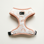 Dog harness — Rainbow Rush (Neoprene)