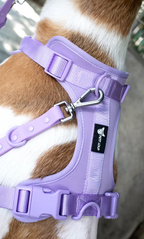Dog harness — Lavender Haze