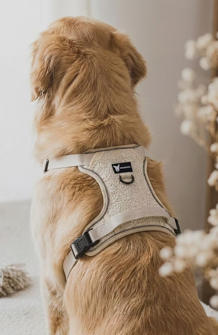 No-pull dog harness — Boho