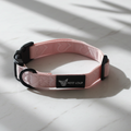 Dog collar — Amour