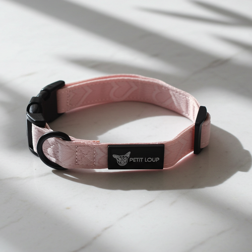 Dog collar — Amour