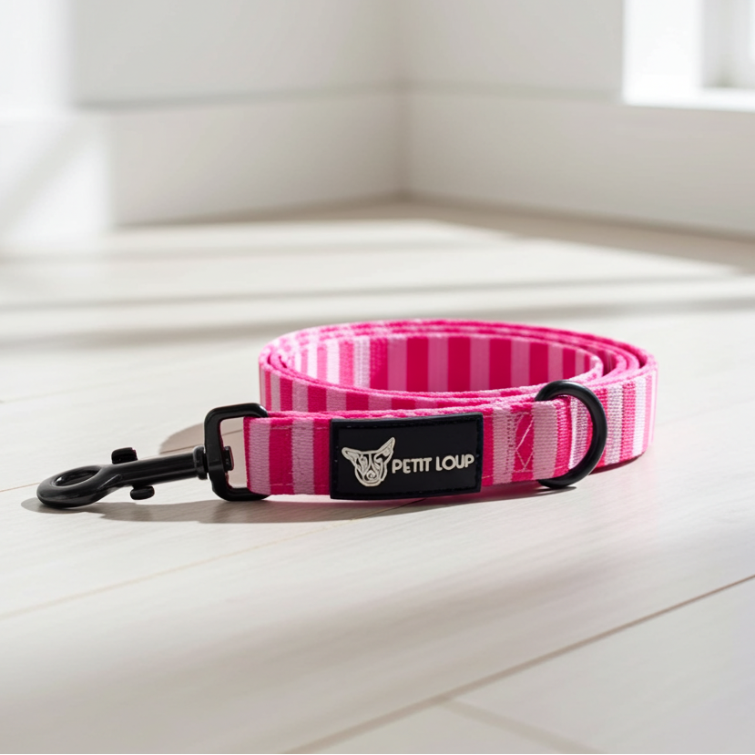 Dog leash — Girl Boss