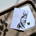 Happy Birthday card — Husky