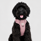No-pull dog harness — Lila (Lilac Corduroy, size L only)