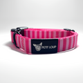Dog collar — Girl Boss