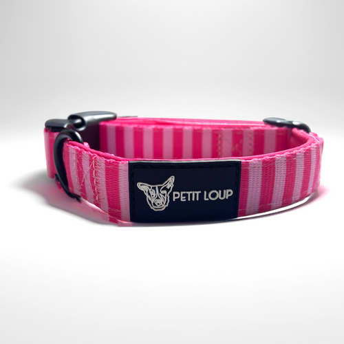 Dog collar — Girl Boss