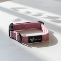 Dog collar — Lila