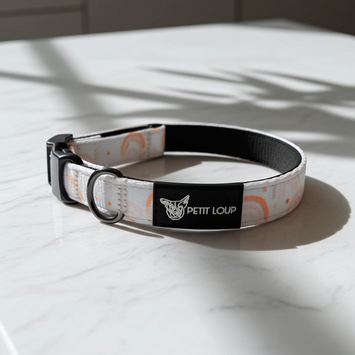 Dog collar — Rainbow Rush