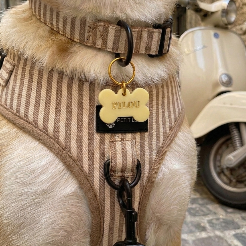 Dog name tag — Butter (Yellow)
