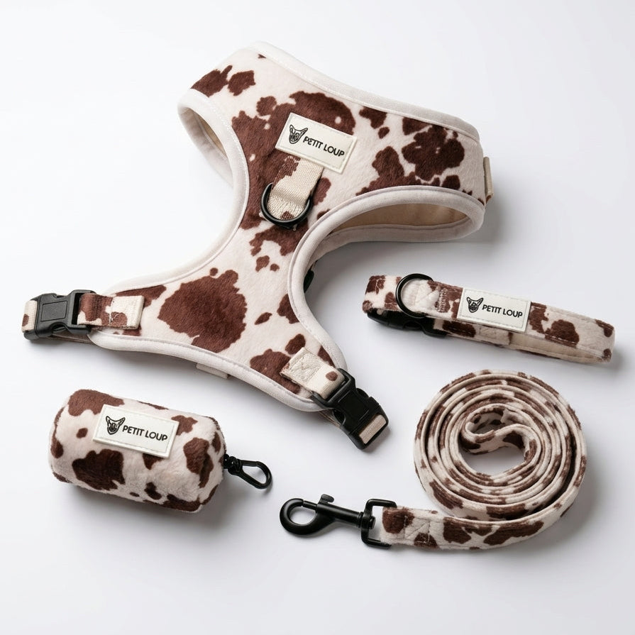 Dog set — Texas
