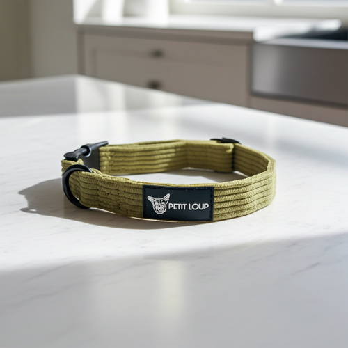 Dog collar — Pistachio