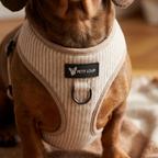 Dog harness — San Remo