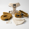 Dog set — Honey Bee