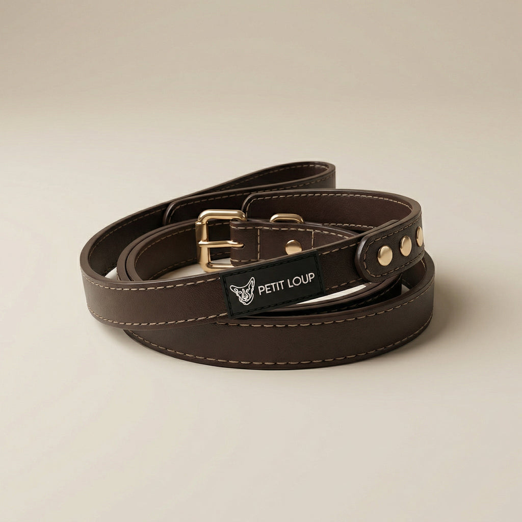 Dog leash — Duba