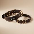 Dog collar — Duba
