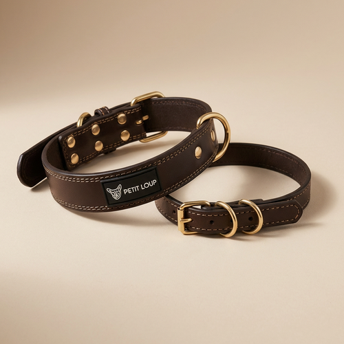 Dog collar — Duba