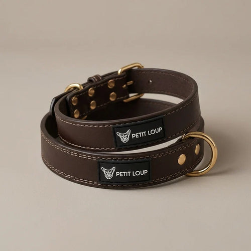 Dog collar - Duba