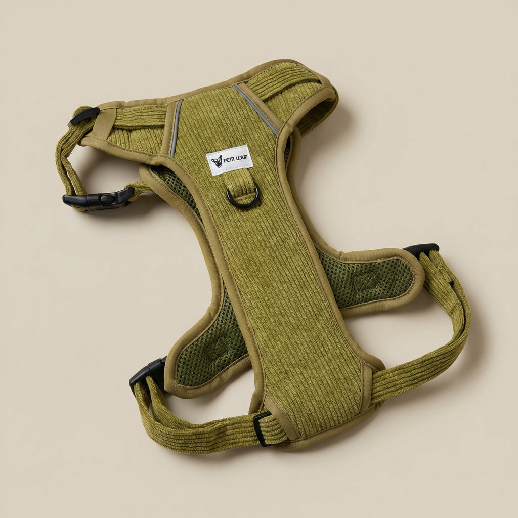 No-pull dog harness — Pistachio