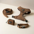 Dog set — Brownie