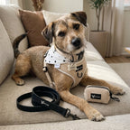 Dog set — Urban