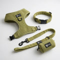 Dog set — Pistachio