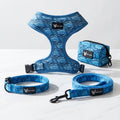 Dog set — Wave Rider
