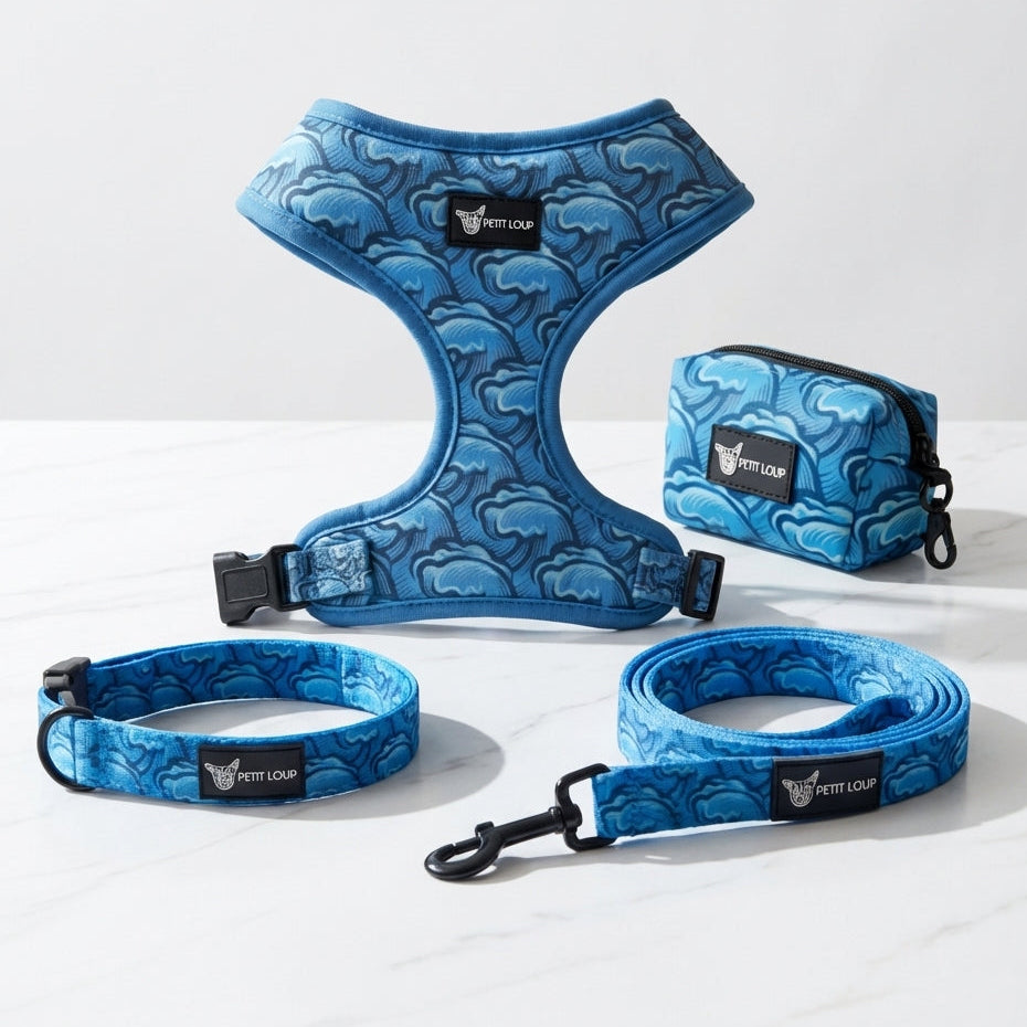 Dog set — Wave Rider