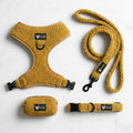 Dog set — Teddy Bear