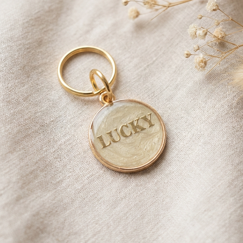 Round dog name tag — Popcorn