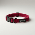 Dog collar — Bloody Mary
