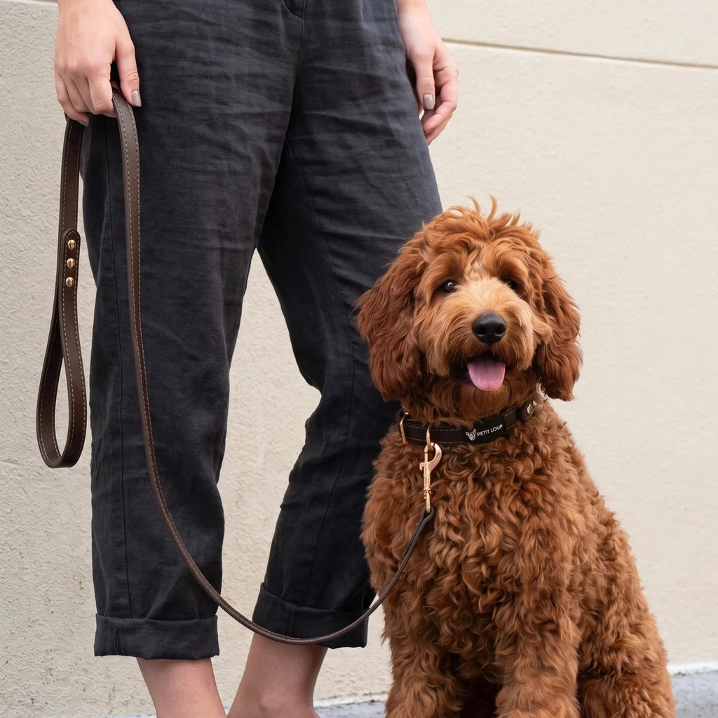 Dog leash - Duba