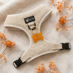 Dog name tag — Aperol