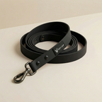 Dog set — Urban
