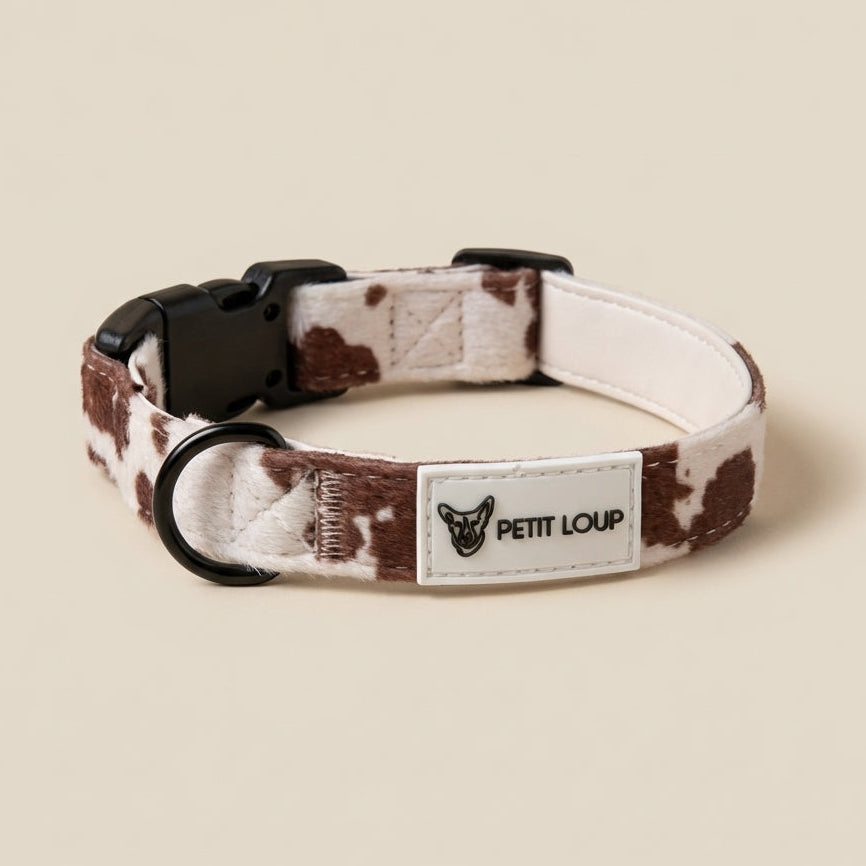 Dog collar — Texas